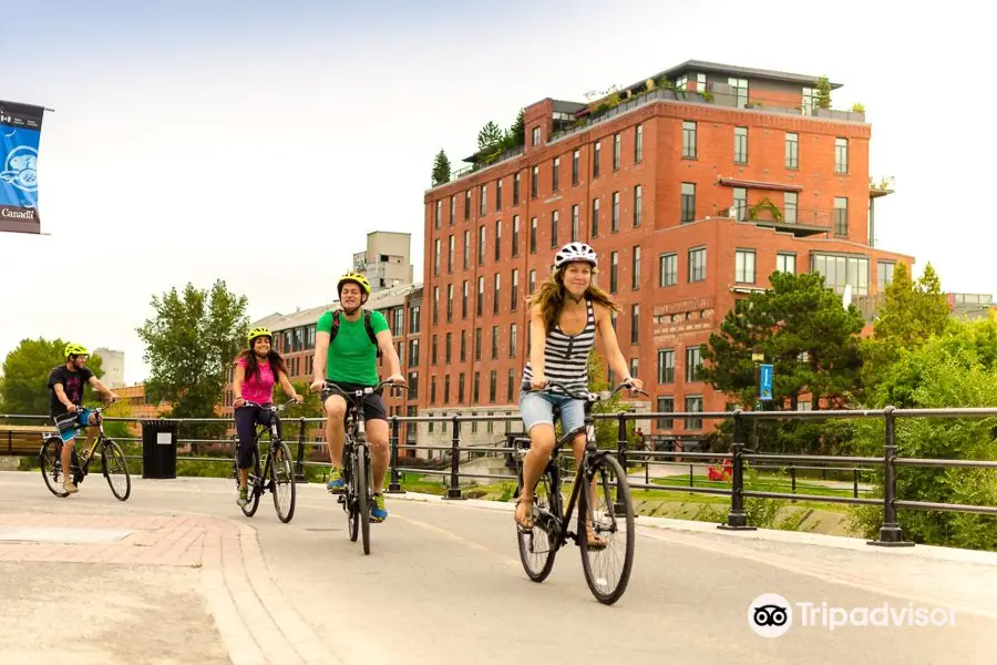 Montreal On Wheels / Ça Roule Montreal