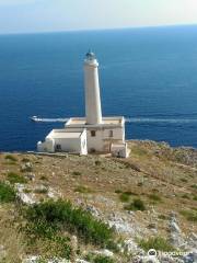 Faro di Punta Palascia