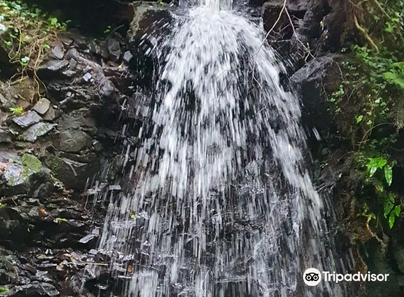 Gortletteragh Waterfalls