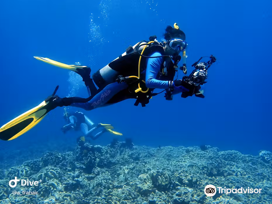 Flüge ${{cityDName}} Geva