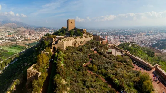 Castle Of Lorca