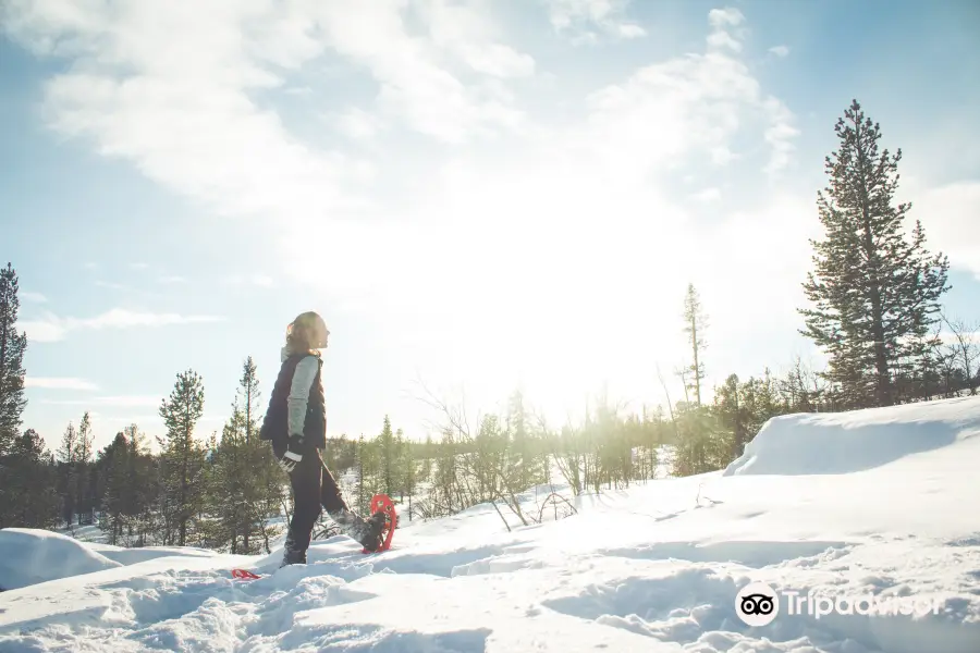 Lapland Sleddog Adventures