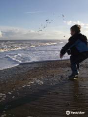 RSPB Minsmere