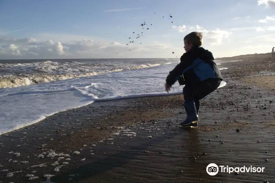 RSPB Minsmere