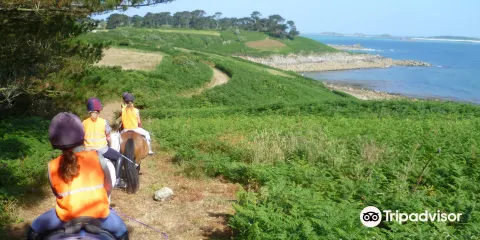 St Mary's Riding Centre