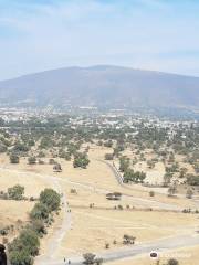 Vagando Por Teotihuacan