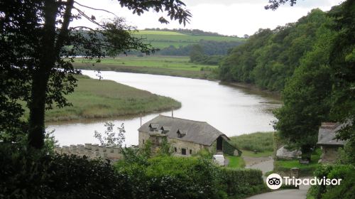 Cotehele and Metherell circular walk