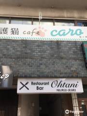 Cat Cafe Caro