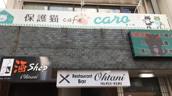 保護猫カフェ・カーロ
