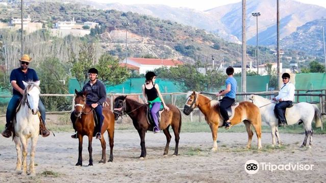 Horse Park Rethymno