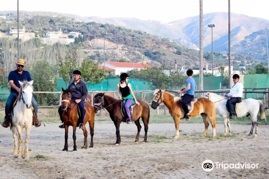 Horse Park Rethymno