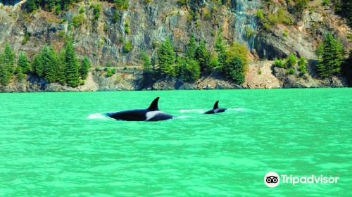 Porteau Cove Provincial Park