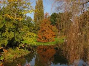 The Botanic Gardens at Samarès Manor