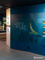 Musée Aqualis
