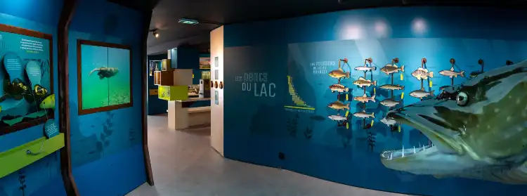 Hotels near Aqualis, l'experience Lac