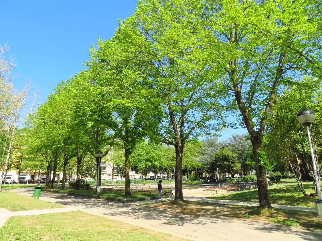 Hotel in zona Parco Sandro Pertini