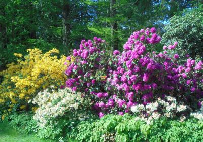 Botanischer Garten Rostock