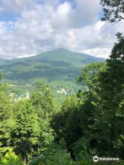 Green Mountain Trails