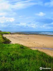 The Northumberland Coast Area of Outstanding Natural Beauty