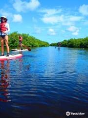 Gulf Coast Kayak