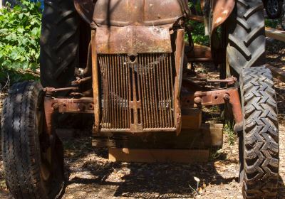 Myrtle Creek Botanical Gardens & Nursery