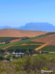 Bloemendal Wine Estate