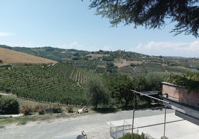 Cantine Bocchino- Azienda Agricola Bocchino Giuseppe di Bocchino Annalisa