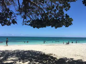 Fort Clarence Beach