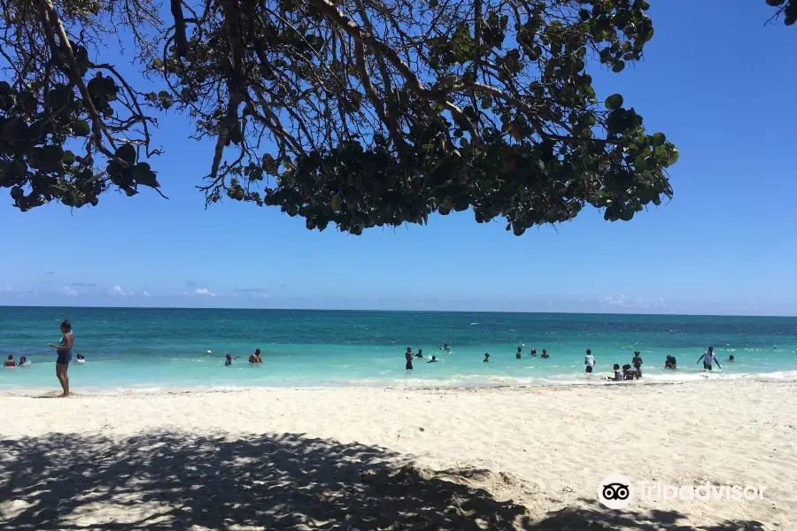 Fort Clarence Beach