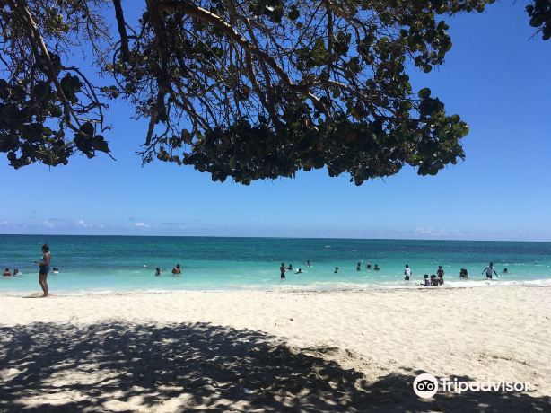 Fort Clarence Beach