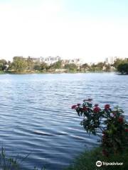 Kaikondrahalli Lake