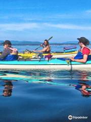 Sea Quest Kayak Tours