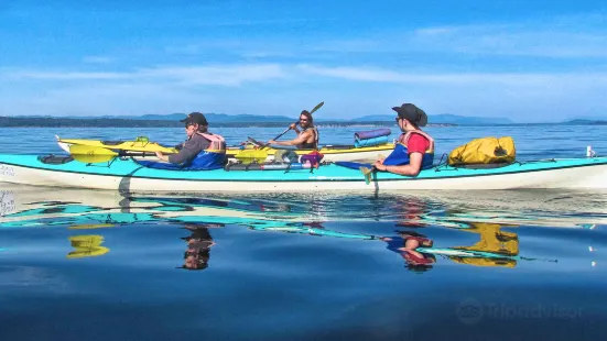 Sea Quest Kayak Tours