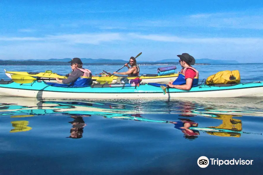 Sea Quest Kayak Tours