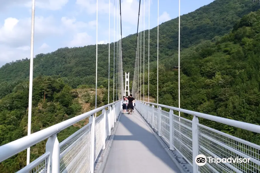 Ueno Sky Bridge