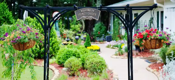 Hotels in Fayette County