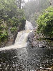 Trout Brook Falls