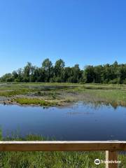 Sculthorpe Moor Nature Reserve