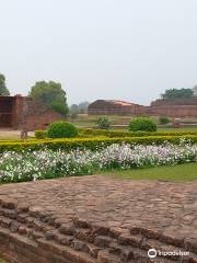 Ruins of Nalanda University