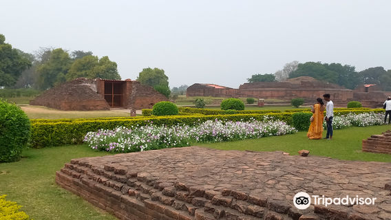 Ruins of Nalanda University