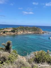 Spiaggia di Sa Colonia