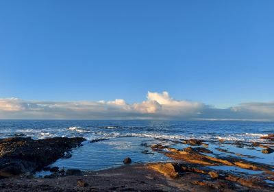 The Moray Coast Trail 'C' - Hopeman to Burghead