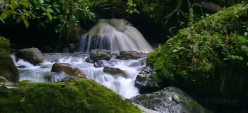 ベネズエラ トルヒーヨのホテル