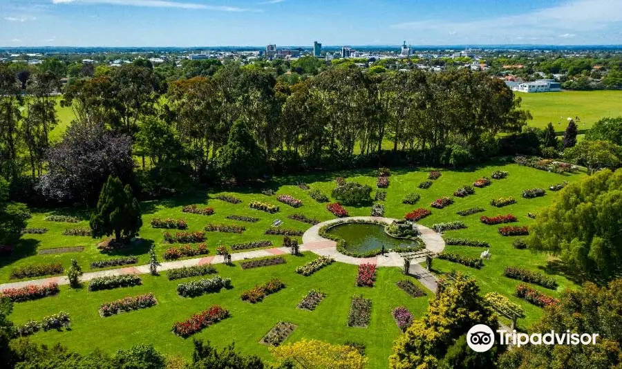 Dugald MacKenzie Rose Garden