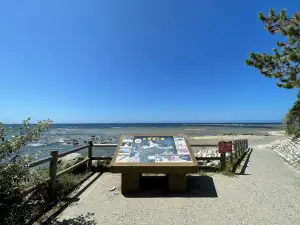 Iwami Tatamigaura Beach