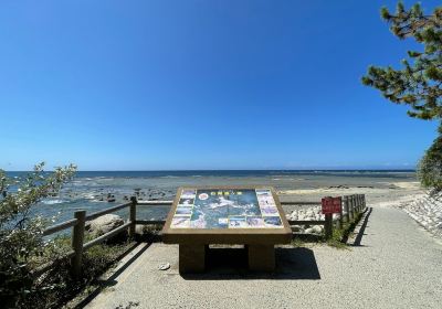 Iwami Tatamigaura Beach