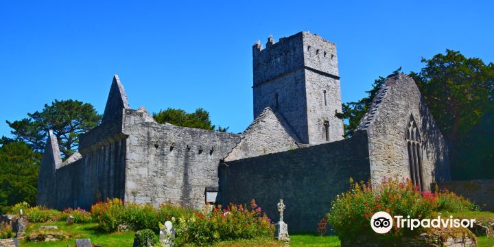 Muckross Abbey