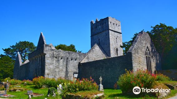 Muckross Abbey
