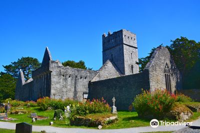 Muckross Abbey