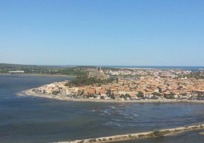 Tour barbe rousse